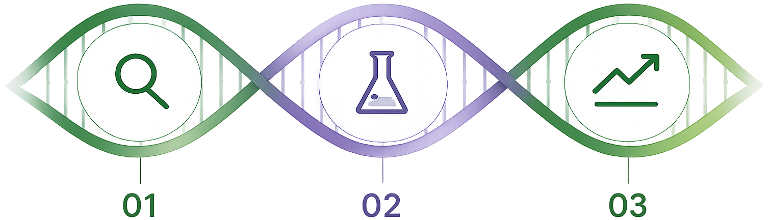 Il metodo SOAP: 01 Analisi, 02 Test e Soluzione, 03 Implementazione e Monitoraggio